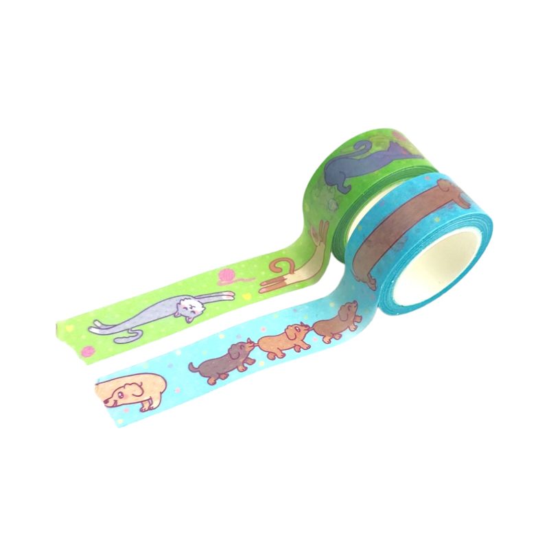 Cat and Dog Tape Photo