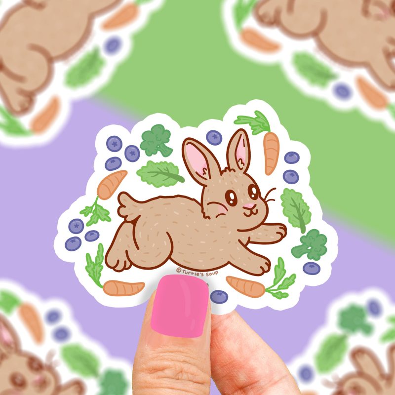 S 447 Pet Rabbit Vinyl Sticker Turltes Soup