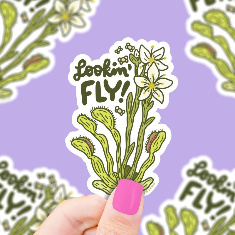 S512 Looking Fly Venus Flytrap Plant Vinyl Sticker by Turtles Soup