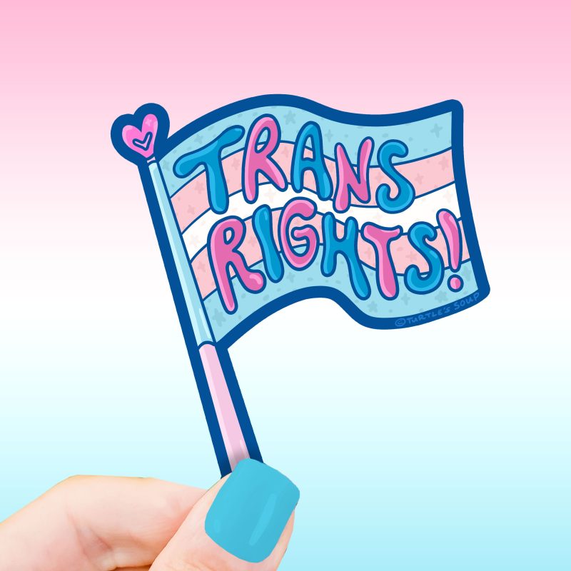 S604 Trans Rights Flag Sticker by Turtles Soup